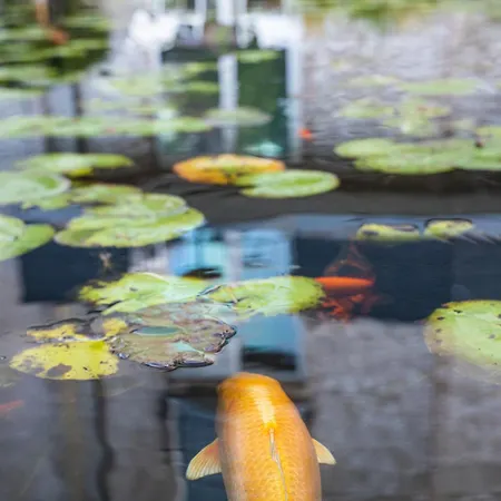 Blooming 4* Берген