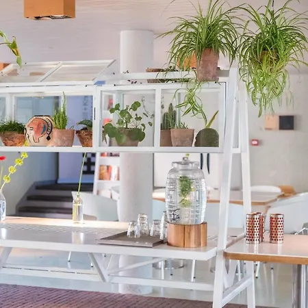 Hotel Blooming